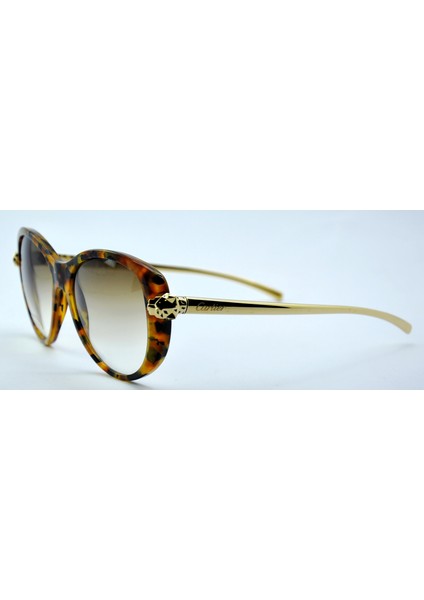 Panthere De Gold Cat Eye Havana Kahverengi Altın Kadın Güneş Gözlüğü
