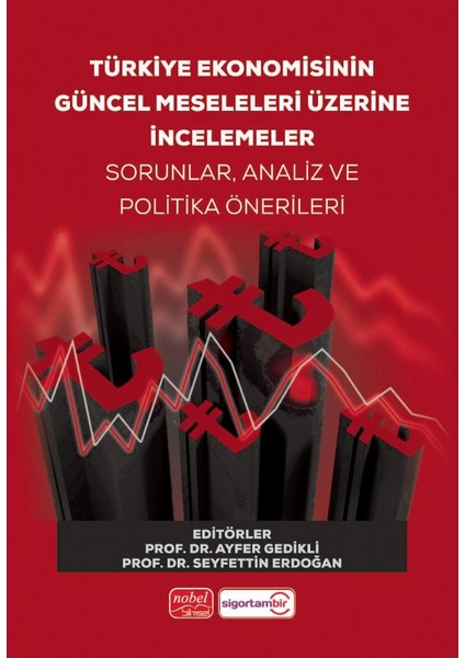 Türkiye Ekonomisinin Güncel Meseleleri Üzerine İncelemeler Sorunl