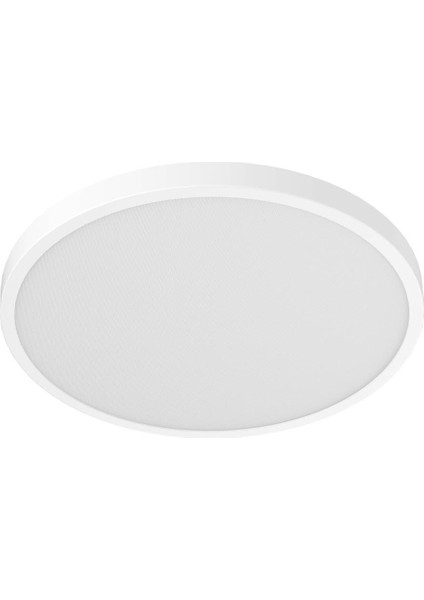 Akıllı Tavan Lambası D30