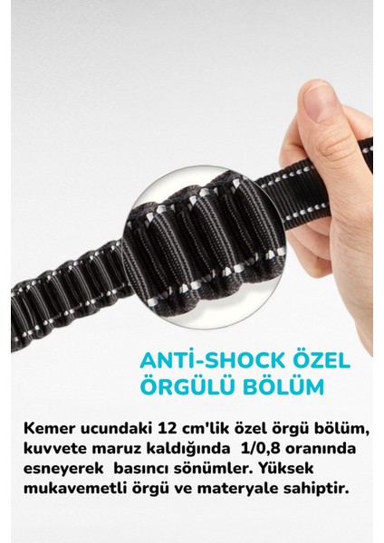 Evcil Hayvan Araç Emniyet Kemeri Köpek Oto Kemeri Araba Oto Aksesuar Kedi Köpek Emniyet Kemeri As modelleri