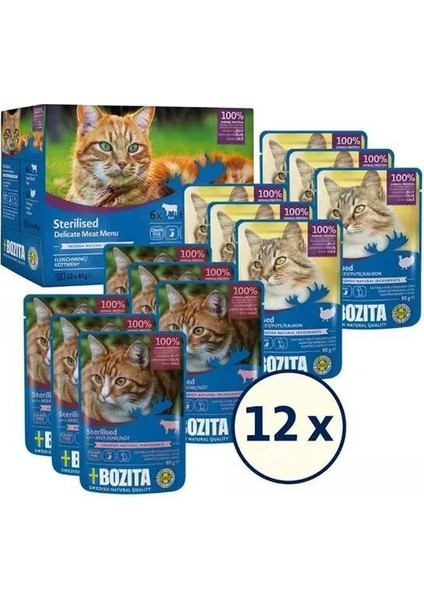 Kısırlaştırılmış Jöle Içinde Yaş Kedi Maması Multibox 12X85 gr fiyatları