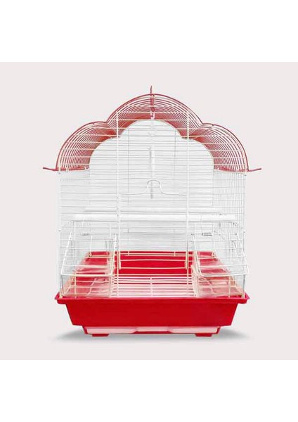 Lzrdwzrd Kafes Renkli 30X23X40