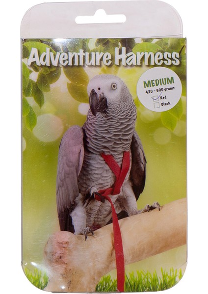 Lzrdwzrd Eastland Kuş Göğüs Tasma M 11X32X130CM