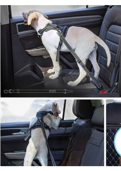 Aramelos Evcil Hayvan Araç Emniyet Kemeri Köpek Oto Kemeri Araba Oto Aksesuar Kh