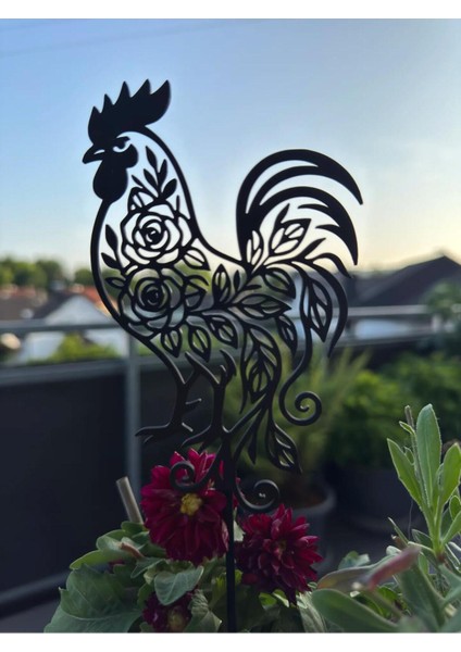 Dekoratif Siyah Horoz Bitki Süsü - 5 Adet – Bahçe ve Saksı Aksesuarı fiyatları