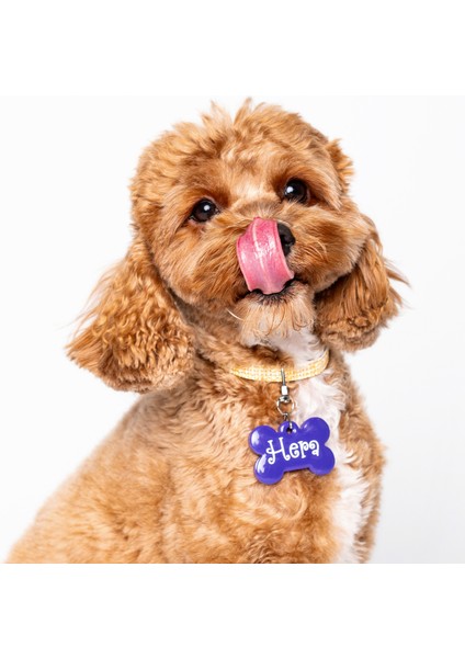 NFC Pet Künyesi: Tek Dokunuşta Dijital Profil + Anında Konum Bildirimi. Şarj ve uygulama gerektirmez; ömürlük kimlik + kaybolma anında en hızlı çözüm. Model: 5 cm Neon Mor