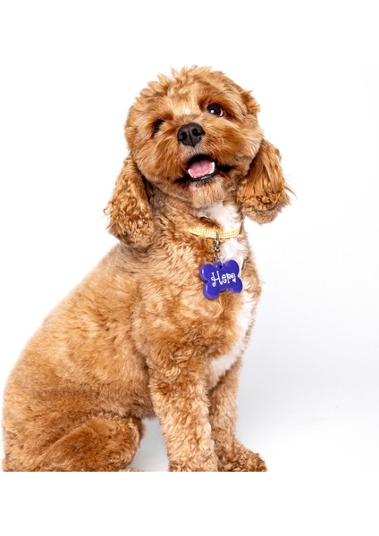 NFC Pet Künyesi: Tek Dokunuşta Dijital Profil + Anında Konum Bildirimi. Şarj ve uygulama gerektirmez; ömürlük kimlik + kaybolma anında en hızlı çözüm. Model: 5 cm Neon Mor fiyatları