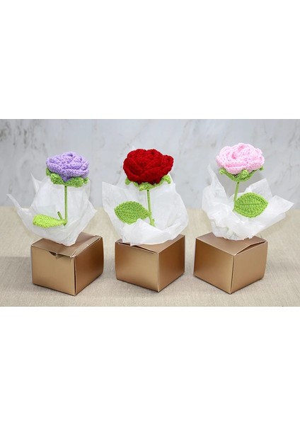 Buğz Kutulu Tekli El Örgüsü Gül Kutulu