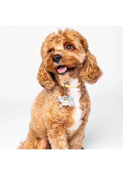 NFC Pet Künyesi: Tek Dokunuşta Dijital Profil + Anında Konum Bildirimi. Şarj ve uygulama gerektirmez; ömürlük kimlik + kaybolma anında en hızlı çözüm. Model: 5 cm Smile fırsatları