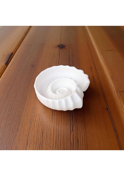 Deniz Kabuğu Şeklinde Takı Tabağı – Yüzük ve Küpe Organizer, Dekoratif ve Şık Ev Aksesuarı fiyatları