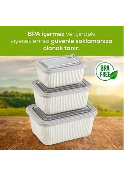 3'lü Vip Dikdörtgen Mikrodalga ve Difrize Uygun Saklama Kabı Bej (1750,1050,600 Ml) fiyatları