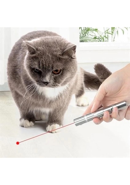 USB Ile Şarj Edilebilen 3ın 1 Kırmızı Işık +Beyaz LED Meşale Işık + Uv El Feneri Kedi Laz indirimleri