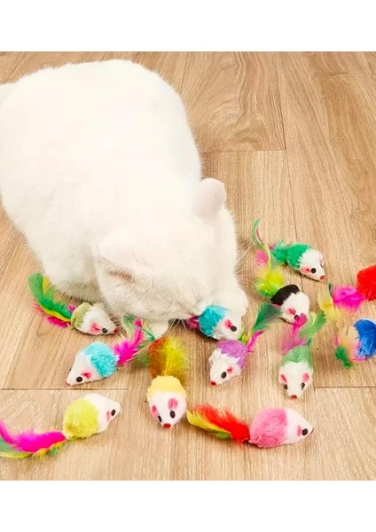 Dört Adet Çok Renkli Kedi Oyuncak Fare modelleri