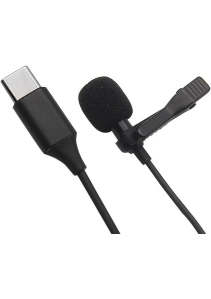 Type-C 2 Metre Double Mikrofon - Siyah