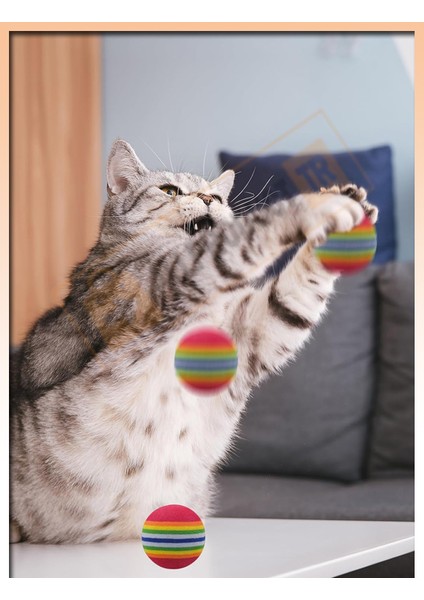 Allproduct Renkli 3’lü Sünger Kedi Köpek Oyuncak Topu Seti – Yumuşak Çiğneme Oyuncağı – Interaktif Evcil Hayvan Oyun Topları – Kedi Köpek Eğlence & Egzersiz Oyuncağı – Dayanıklı modelleri