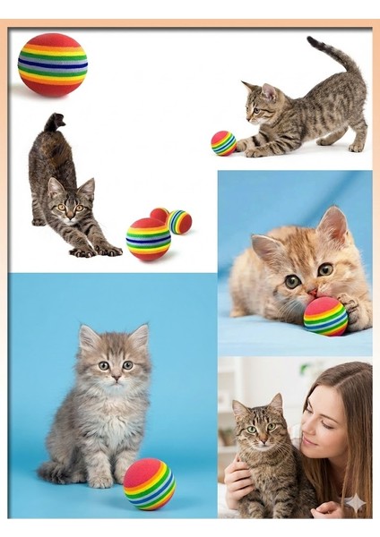 Allproduct Renkli 3’lü Sünger Kedi Köpek Oyuncak Topu Seti – Yumuşak Çiğneme Oyuncağı – Interaktif Evcil Hayvan Oyun Topları – Kedi Köpek Eğlence & Egzersiz Oyuncağı – Dayanıklı fırsatları