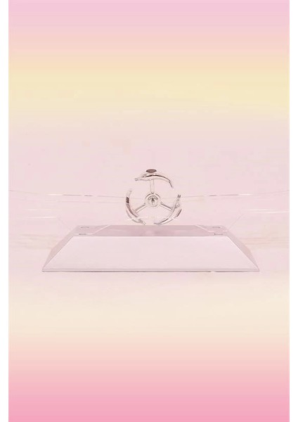 Dekoratif Masa Üstü Obje Manyetik Kinetik Orbital Dönen Yunuslar modelleri