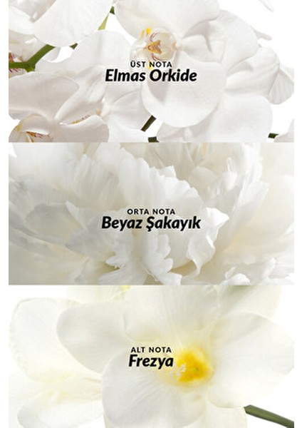 Incandessence 50 ml Kadın Parfüm Edp İkili Set Şık Tasarım indirimleri