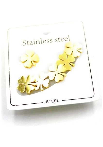 Litaetrend Çoklu Çelik Küpe - Altın fiyatları