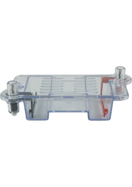 Yatay Elektroforez Tankı Jel Deney Biyolojik Öğretim Deneysel Enstrüman Deneysel Öğretim Aracı (Yurt Dışından)