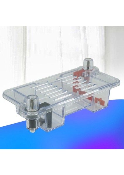 Yatay Elektroforez Tankı Jel Deney Biyolojik Öğretim Deneysel Enstrüman Deneysel Öğretim Aracı (Yurt Dışından) indirimleri