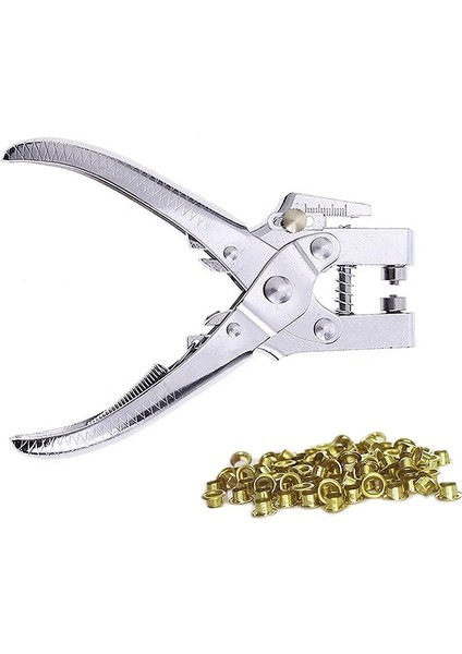 Küzik Deliği Yumruk Pensesi Pençeler 100 Kuşu ile Set ve Deri Kemer Ayakkabı Için Delik Yumruk Kiti (Yurt Dışından)