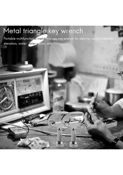 Cıvata Üçlü Kısaltılmış Üçgen Metal Panel Için Anahtar Yuva 8 mm x 2 (Yurt Dışından) fiyatları