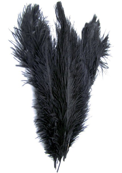 Yeni Stil Yapay 10-12 Inç Devekuşu Tüyleri Harika Dekorasyonlar Siyah (Yurt Dışından)
