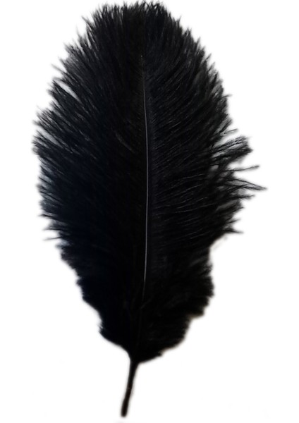 Yeni Stil Yapay 10-12 Inç Devekuşu Tüyleri Harika Dekorasyonlar Siyah (Yurt Dışından) fiyatları