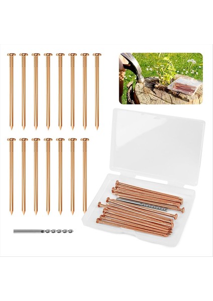 Ağaç Güdük Köklerini Öldürmek Için 25 Adet Bakır Çivi 3 15 Inç Bakır Çivi Matkap Ağaçlar Için Kazık Çıkarma Çivi (Yurt Dışından)