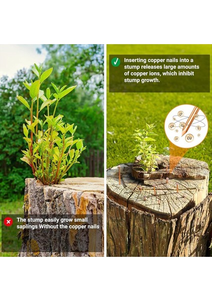 Ağaç Güdük Köklerini Öldürmek Için 25 Adet Bakır Çivi 3 15 Inç Bakır Çivi Matkap Ağaçlar Için Kazık Çıkarma Çivi (Yurt Dışından) modelleri