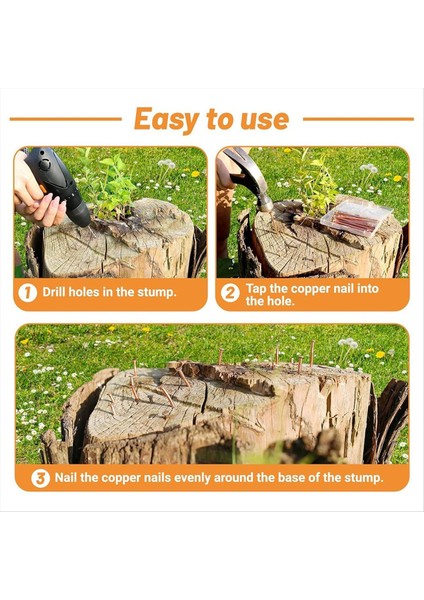 Ağaç Güdük Köklerini Öldürmek Için 25 Adet Bakır Çivi 3 15 Inç Bakır Çivi Matkap Ağaçlar Için Kazık Çıkarma Çivi (Yurt Dışından) fırsatları