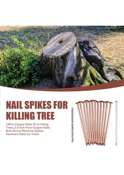 14 Adet Bakır Tırnaklar Kiti Ağaçlar Öldürme Kiti 3 5 Inç Saf Bakır Tırnaklar Toplu Kütük Çıkarma Çivili Donanım Çivileri Ağaçlar Için (Yurt Dışından) fırsatları
