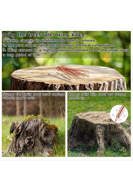 40 Pcs Bakır Tırnaklar Ağaçları Öldürme 3 5 Inç Saf Bakır Tırnaklar Toplu Güdük Çıkarma Çivileri Ağaçlar Için Donanım Çivileri (Yurt Dışından) fırsatları