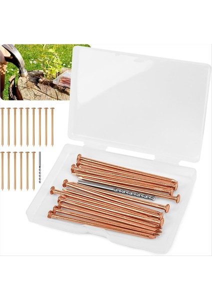 Ağaç Güdük Köklerini Öldürmek Için 15 Adet Bakır Çivi 3 15 Inç Bakır Çivi Matkap Ağaçlar Için Kazık Çıkarma Çivi (Yurt Dışından)