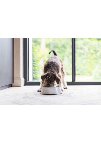 Yzlal Beeztees Dbl Köpek Mama Su Kabı, Mat Paslanmaz Çelik, Beyaz Mermer Görünümlü, 14CM, 160ML fiyatları