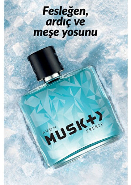 Musk Freeze Erkek EDT Parfüm 75 Ml Çiçeksi Koku ile Ferahlatıcı Etki modelleri