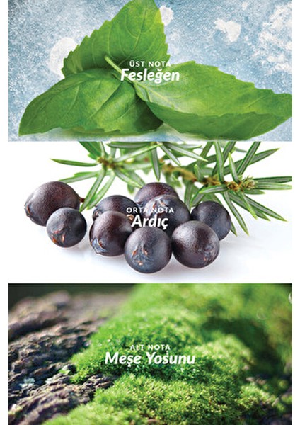 Musk Freeze Erkek EDT Parfüm 75 Ml Çiçeksi Koku ile Ferahlatıcı Etki fırsatları