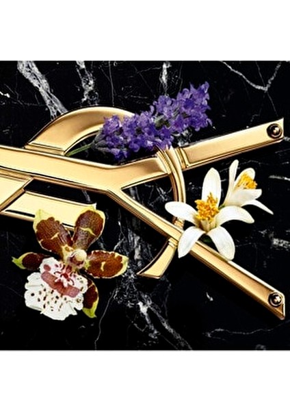 Libre Intense EDP 30 ml Oryantal Koku Kadın Parfümü fırsatları