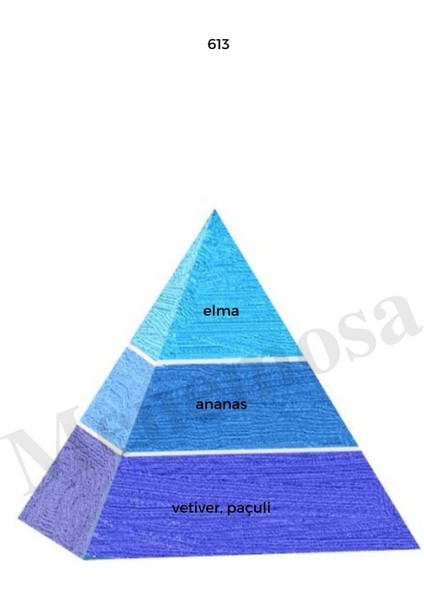 613 + 709 Erkek Parfüm Edp Fresh / Oriental- MNMS613709 fiyatları