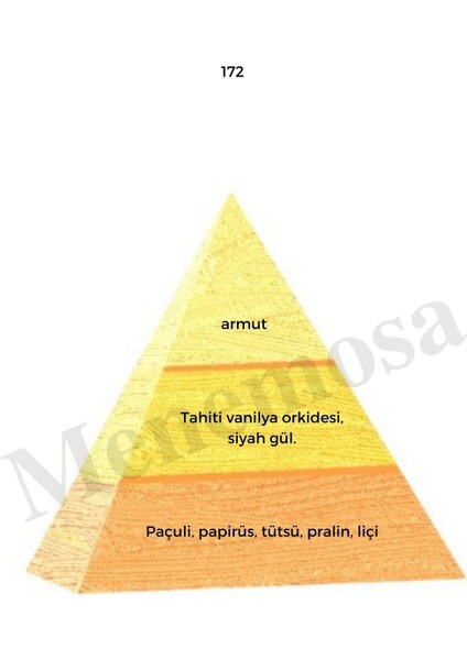 172 + 172 Kadın Parfüm Edp Oriental - MNMS1722 fiyatları
