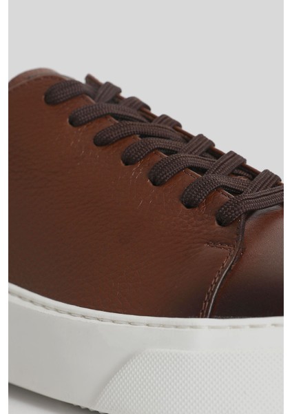 Tommy Erkek Sneaker Ayakkabı