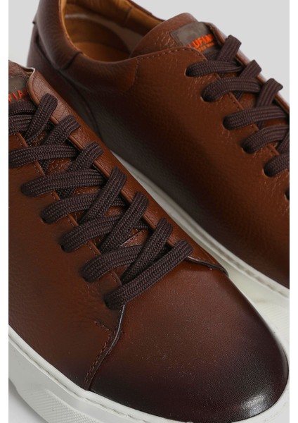 Tommy Erkek Deri Sneaker Ayakkabı Siyah fırsatları