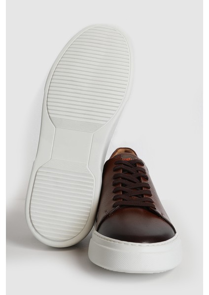 Tommy Erkek Deri Sneaker Ayakkabı Siyah