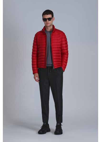 Andy Kaz Tüyü Erkek Mont fiyatları