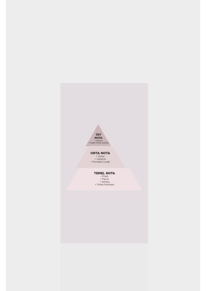 Annabel Kadın Parfüm Standart modelleri