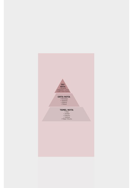 Emma Kadın Parfüm Standart modelleri