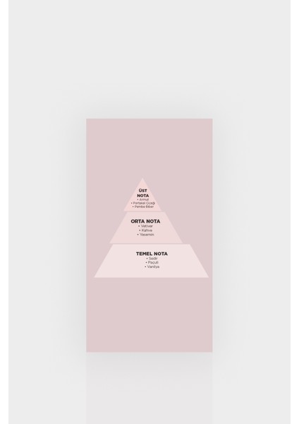 Alberta Kadın Parfüm Standart modelleri