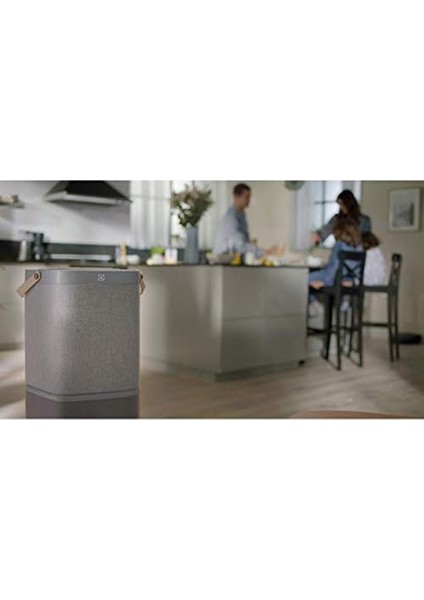 EFDCLN4E CLEAN360 Purea9 ve Purea9.2 Hava Temizleyici Filtresi fırsatları