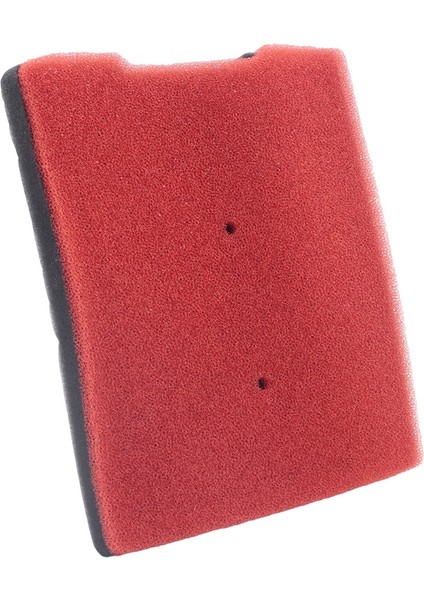 Kawasaki Kle 300 Versys X300 2017-2021 2018 2019 2020 Için Motosiklet Sünger Hava Temizleyici Filtresi (Yurt Dışından)